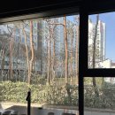 뜨락B | [청담 맛집]신동엽의 인생 맛집, 한우 맛집 '뜨락' 주말 런치코스 15.5만원 내돈내산 솔직 후기