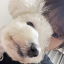 본오공원2길 이미지