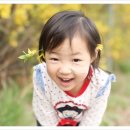 나영목장 이미지