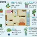 상식농장 이미지