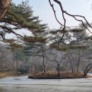 김포시청 티스토리