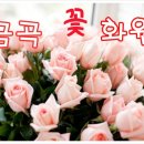 금곡꽃화원