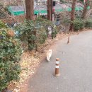 분성로R 네이버블로그