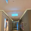 울산 현대백화점 수유실정보 유모차 대여 기저귀갈이대 100일아기와 가볼만한 곳