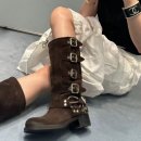 웨스턴카우 이미지