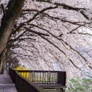 꽃내음가득 이미지