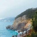 통영 THE보자 이미지