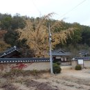 안동 백하구려