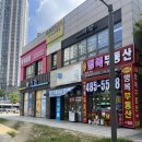 동글댕글 | 안산 애견미용 새로오픈한 [동글댕글] 내돈내산 No광고 솔직후기