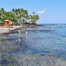 아일랜드 이미지