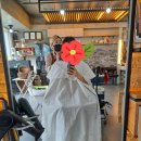 금계헤어샵 | 춘천 미용실 별헤어 내돈내산 커트하고 완전 만족한 후기!!