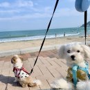 광안동물병원 이미지