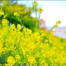 덕천마을 이미지