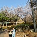 돌산체육공원(망우동)