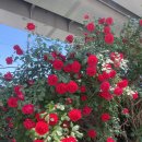 금호타이어 함안대리점 이미지