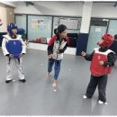 태권도(성인반) 이미지
