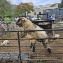 배미농장 | 산들소리 수목원 식당, 까페 나들이 후기(유아는 비추)