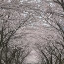 승월경로당 이미지