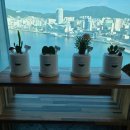 브릿지공인중개사사무소 이미지