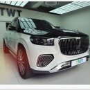 더웨이(TWT) 이미지