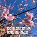 가오농장 | 타이중 3월 날씨 옷차림 총정리｜벚꽃 개화 상황 + 6박7일 실제 후기