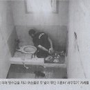 화성새우