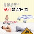 6월말 제주범섬콧구멍포인트스쿠버로 방문🤿log27, 28