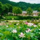 증평민속체험박물관 이미지