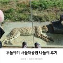 서울대공원 | 두돌아기 11월의 과천 서울대공원 동물원 나들이 후기_feat.단풍