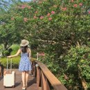 펜션오월의정원 이미지