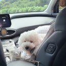 산솔회관