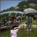 목포자연사박물관 Daum카페