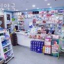 힐링약국 | 용산구 용문동 동물병원 힐링약국 위치 오는길 후기