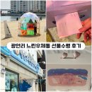 느린 달팽이 | [부산] 광안리 느린우체통 &lt;달팽이톡&gt; 위치, 이용방법, 1년후재방문 선물수령후기