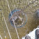 단강낚시터 이미지