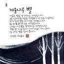 밤나무별