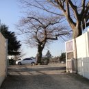 백초초우두분교장 이미지