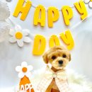 로고스 동물병원 이미지