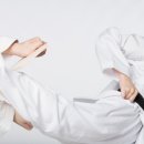 고려대한태권도 이미지