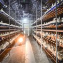 상만농장 이미지