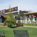 애견프라자 이미지