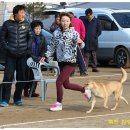 비상초등학교 이미지