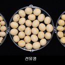 토종식품 이미지