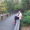 지양산 해맞이마을 이미지