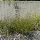 풀빌라 청아연 | 담양풀빌라 담양독채풀빌라 청아연 내돈내산 후기