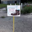 해성아이앤씨 | #1박 2일에 나온 #태양의 후예 촬영지-아이앤씨교육컨설팅