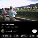 화성나래학교 | S급 취준생이 공기업(+은행)에 지원하는 블로그