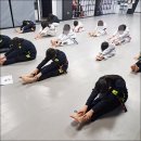 경희대 최강 MTA 태권도 이미지