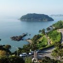 해안대로 이미지