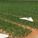 썬부동산중개사무소 이미지